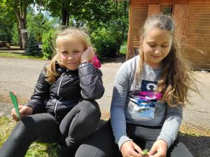 IMG 20190705 130142