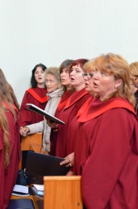 DSC 4497
