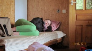IMG 1559