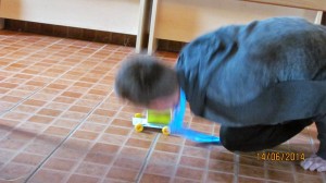 IMG 1585