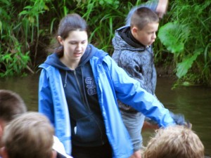IMG 1739