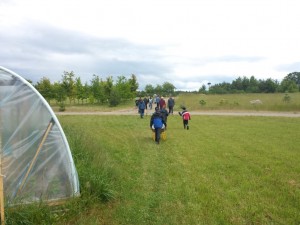 20150619 154432 (Medium)