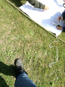 IMG 20170614 150313 (1)