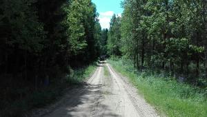 IMG 20170615 113911 (1)