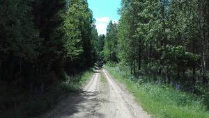 IMG 20170615 113916 (1)