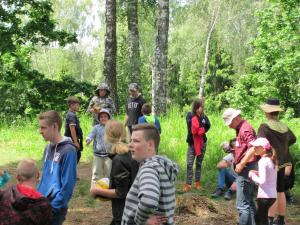 IMG 3453 (1)