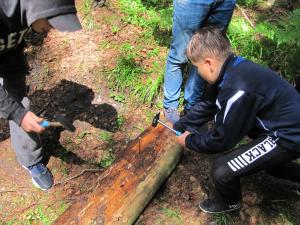 IMG 3468 (1)