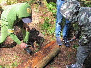 IMG 3469 (1)