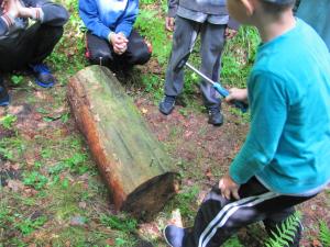 IMG 3471 (1)