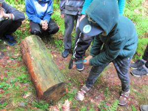 IMG 3472 (1)