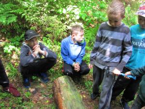 IMG 3473 (1)