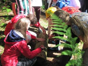 IMG 3477 (1)