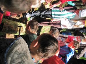 IMG 3480 (1)