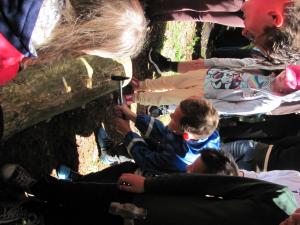 IMG 3481 (1)