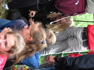 IMG 3522 (1)