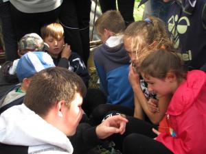 IMG 3527 (1)