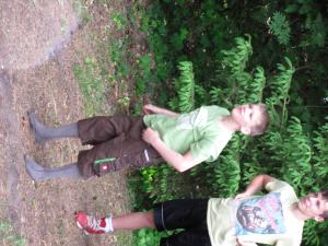 IMG 3539 (1)