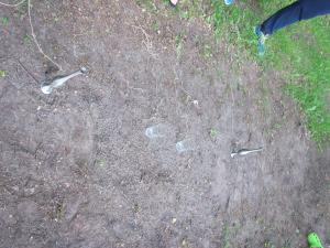 IMG 3598 (1)