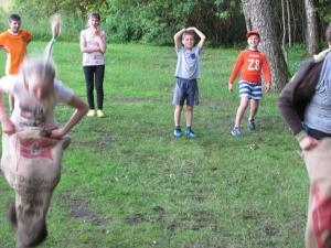 IMG 3618 (1)