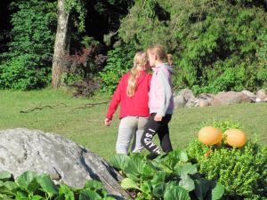 IMG 3664 (1)