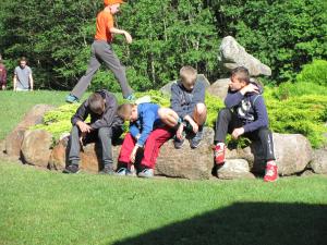IMG 3668 (1)