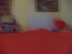 IMG 3788 (1)