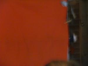 IMG 3790 (1)